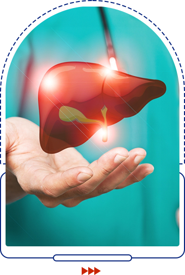 Liver disorders icon